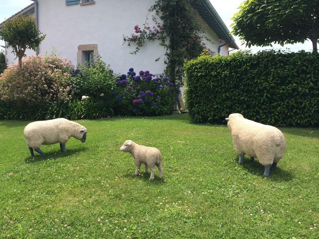 Les Volets Bleus Bed and Breakfast Arcangues Exteriör bild